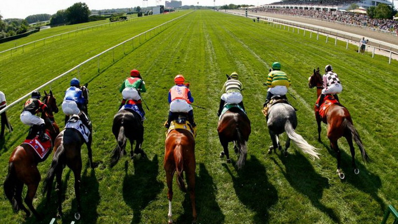 Obstawianie Wyścig&oacute;w Konnych na żywo