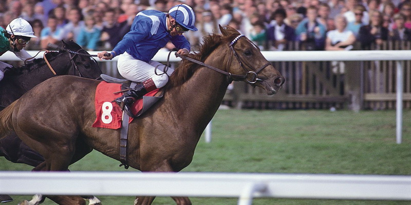 Darmowe wyścigi konne na żywo