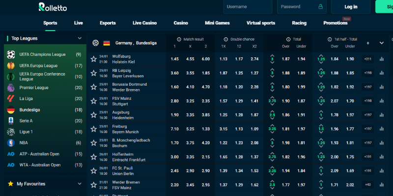 bbl-bundesliga-koszyk&oacute;wka-w-rolletto
