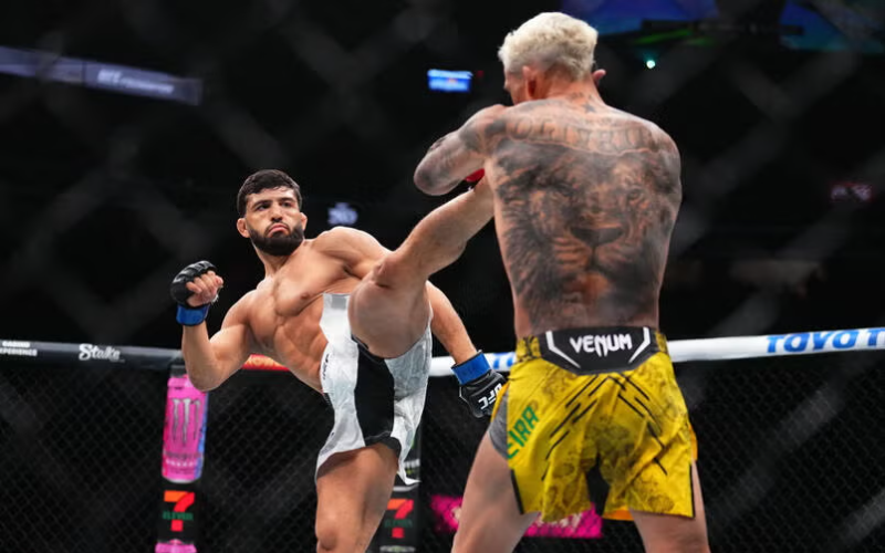 gł&oacute;wne-style-i-techniki-walki-mma