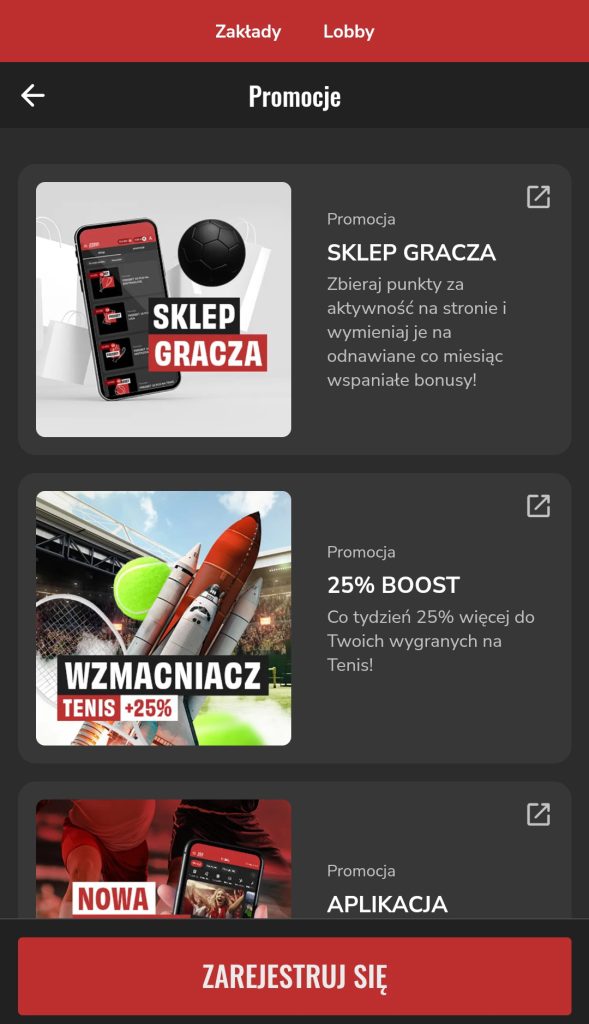 pzbuk-promocje