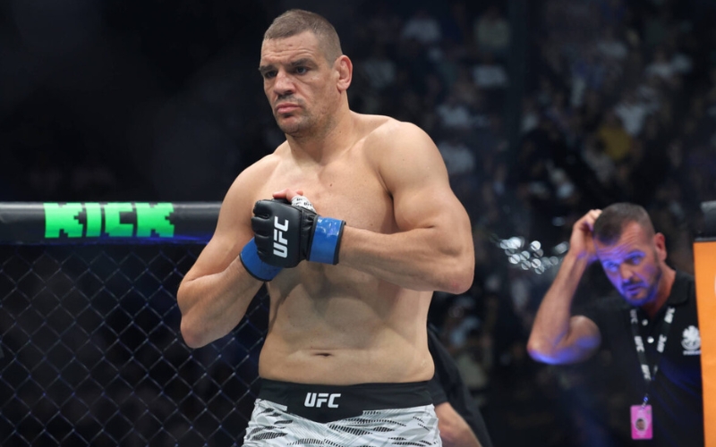 prognoza-ufc-fight-night-ante-delija 